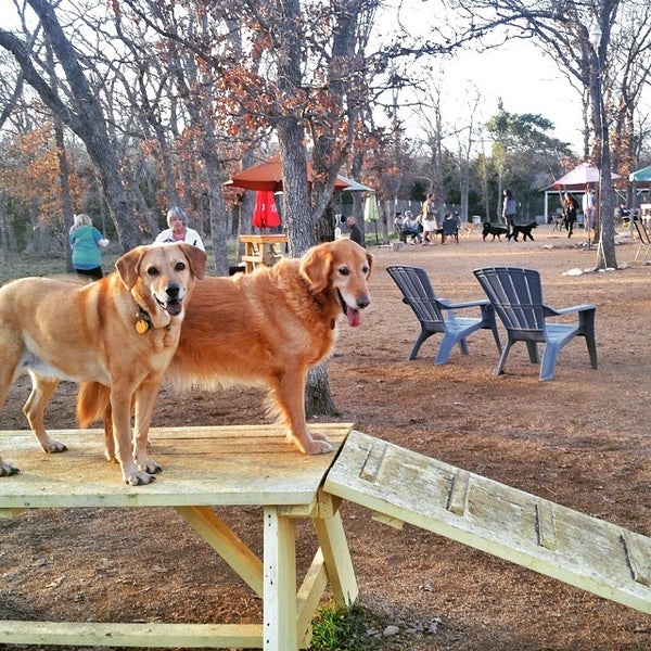 Photo taken at Dog House Drinkery Dog Park by Frankie F. on 1/26/2015