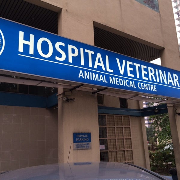 Animal medical center