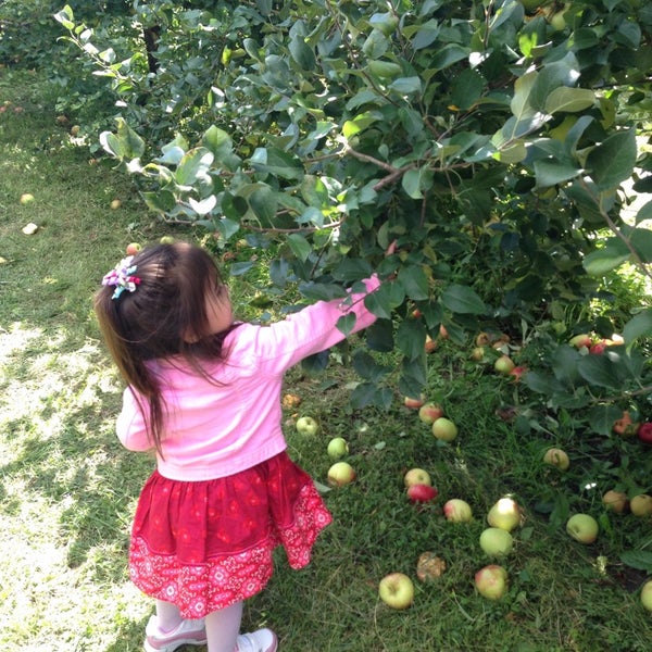 Foto diambil di All Seasons Orchard oleh Sarah R. pada 9/13/2014