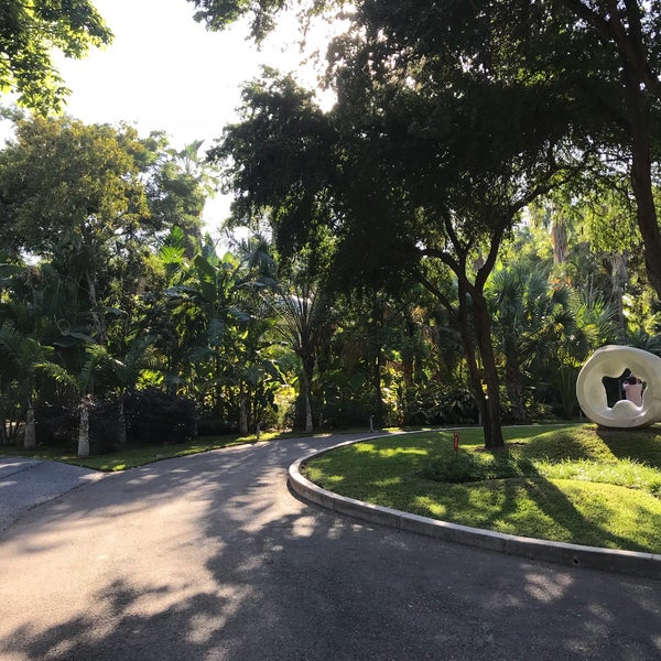 รูปภาพถ่ายที่ Jardín Botánico Culiacán โดย Christiano C. เมื่อ 11/19/2017