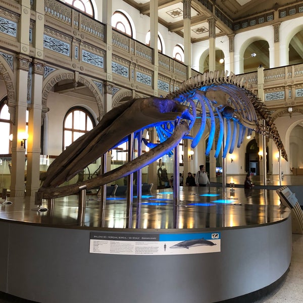 Photo taken at Museo Nacional de Historia Natural by Jorge V. on 5/28/2019