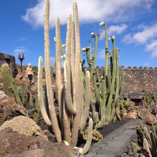 Jardin Cactus