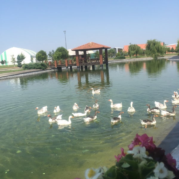 6/15/2015 tarihinde Akslslziyaretçi tarafından Coşkun Izgara Parkada'de çekilen fotoğraf