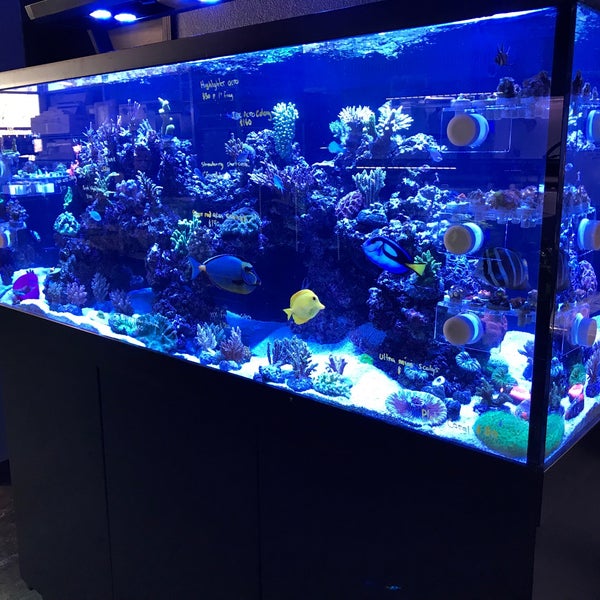 รูปภาพถ่ายที่ Aqua Life Aquarium โดย Doug W. เมื่อ 6/4/2018