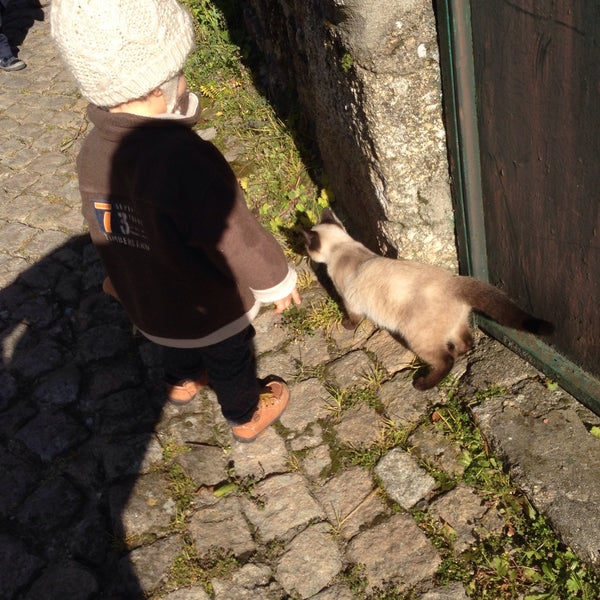 Parque de Festas de Maçainhas