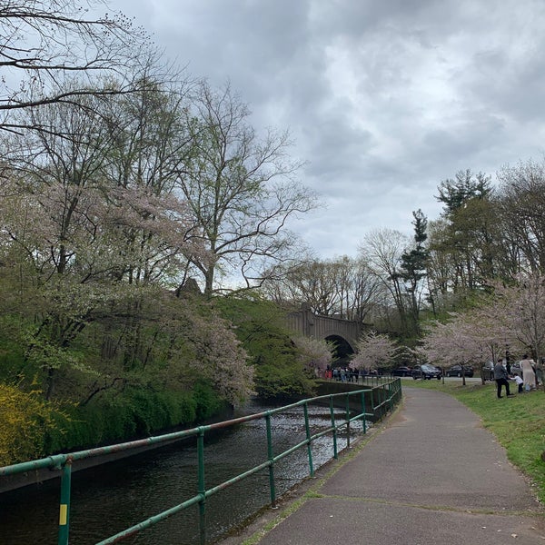 4/18/2021にDelia K.がBranch Brook Parkで撮った写真