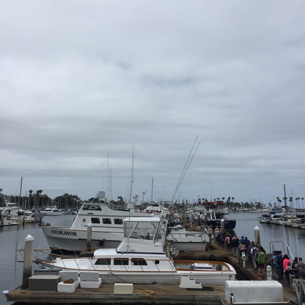 Seaforth Sportfishing Harbor or Marina in Mission Bay Park