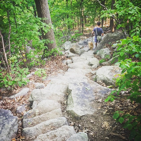 9/5/2015 tarihinde Mary Elise Chavezziyaretçi tarafından Mohonk Preserve'de çekilen fotoğraf