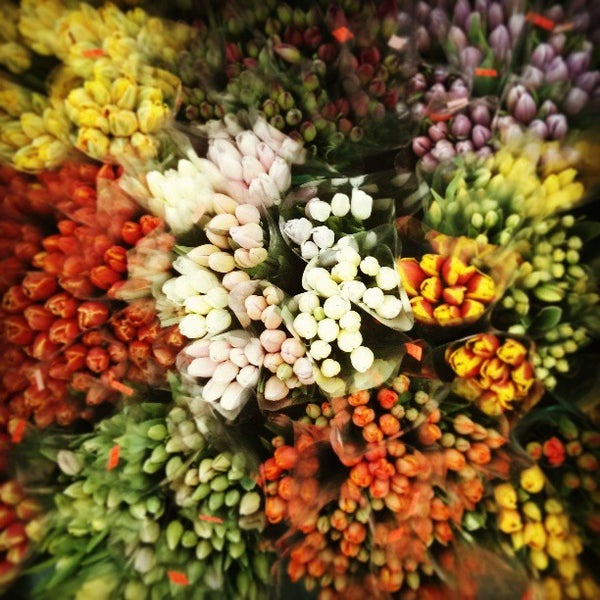 Jong Young Food & Flower Market Yorkville 128 Avenue Rd.