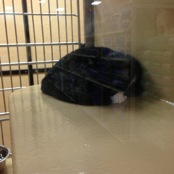 petsmart-north-woburn-6-tips-from-537-visitors