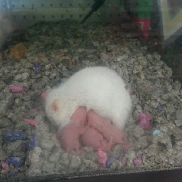 Jack's Pets and Aquarium 3718 Fishinger Blvd