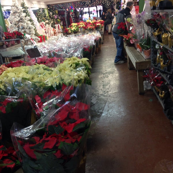 Canarsie Flower Market Brooklyn Best Flower Site