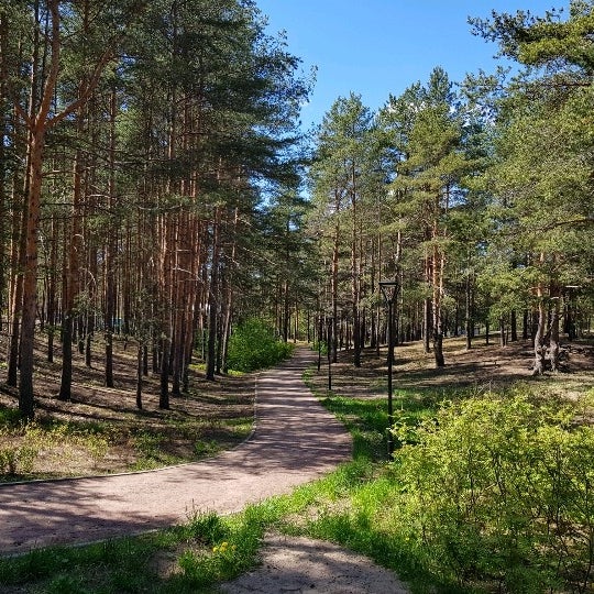 Парк терренкур сестрорецк