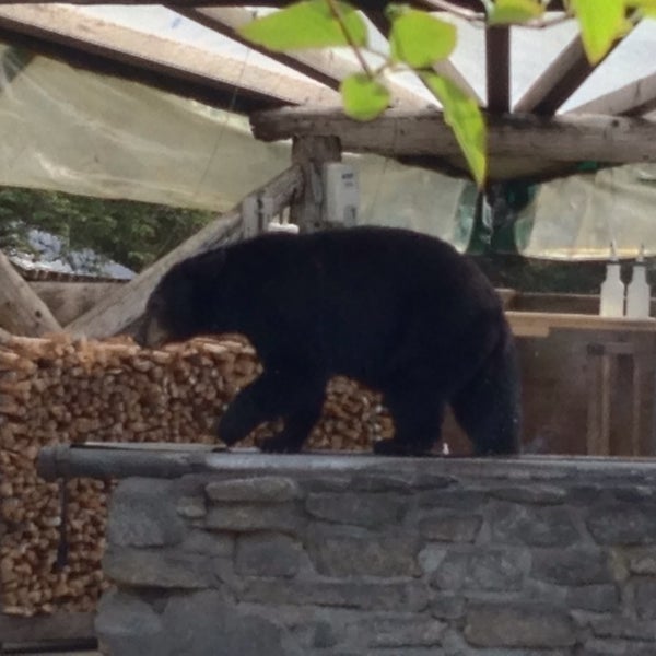 Das Foto wurde bei Taku Lodge von Caroline S. am 6/3/2014 aufgenommen