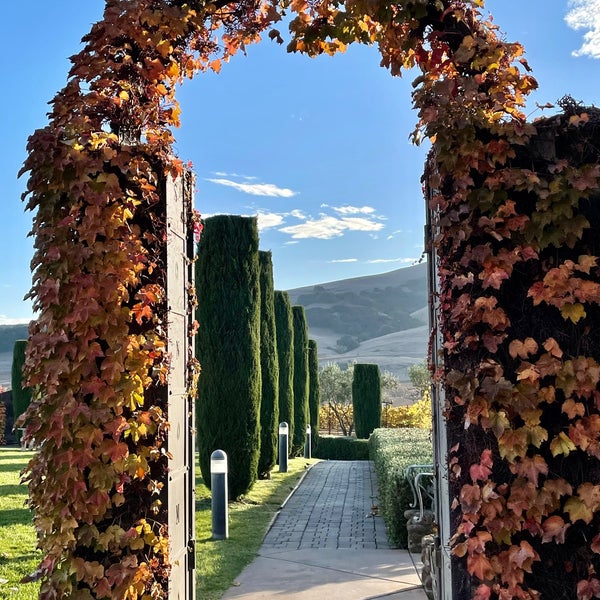 Photo taken at Viansa Winery by Kevin W. on 11/23/2020