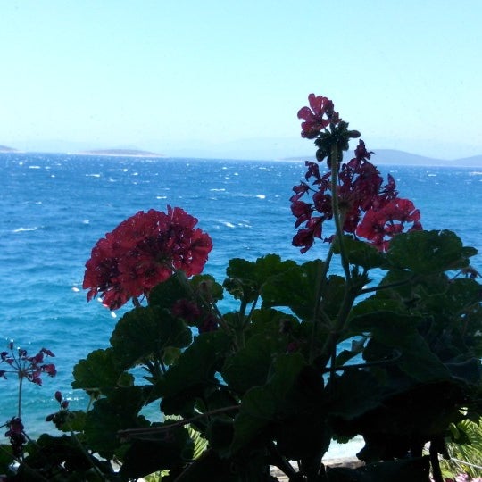 Das Foto wurde bei The Detox Bay Wellbeing Retreat von Burcu Sinan B. am 7/4/2014 aufgenommen