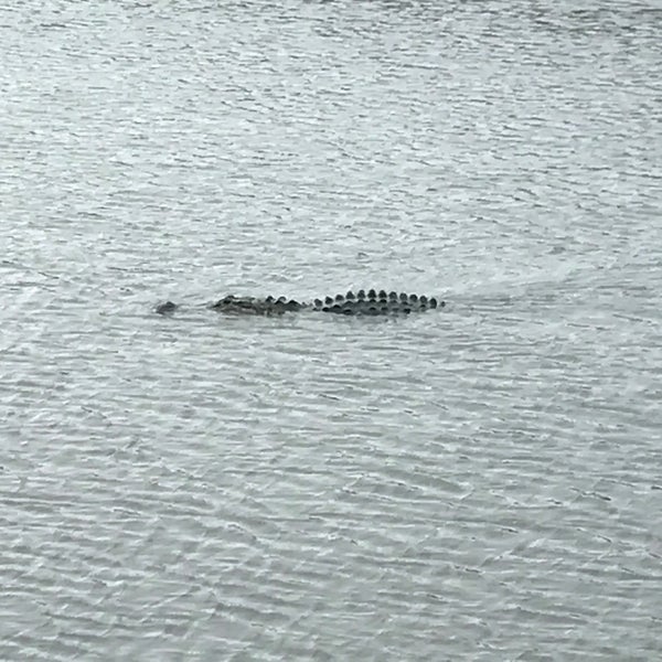 Pahokee State Park Pahokee, FL