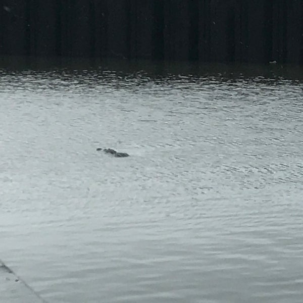 Pahokee State Park Pahokee, FL