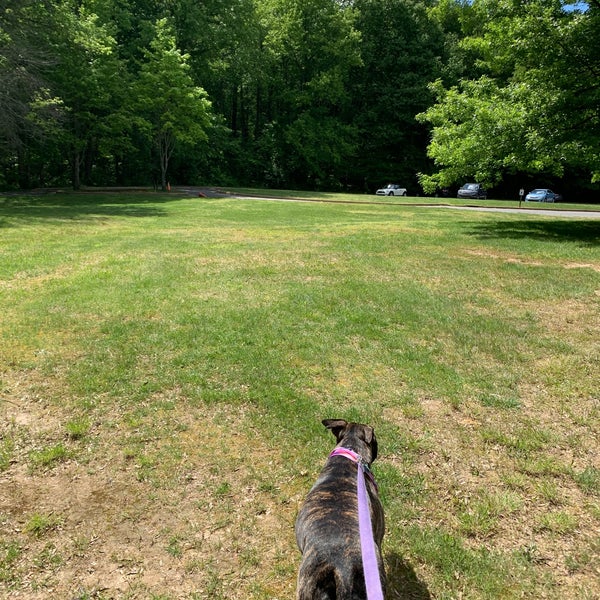 Are Dogs Allowed At Lums Pond