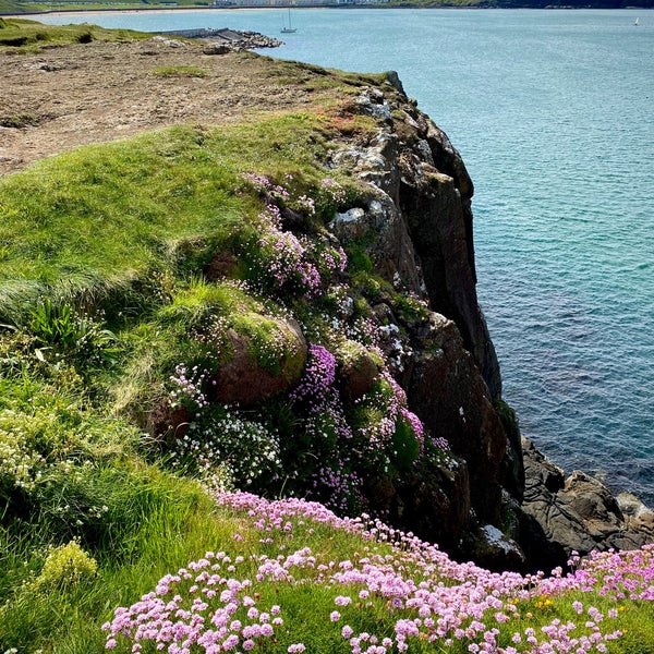 Ramore Head Portrush, Coleraine