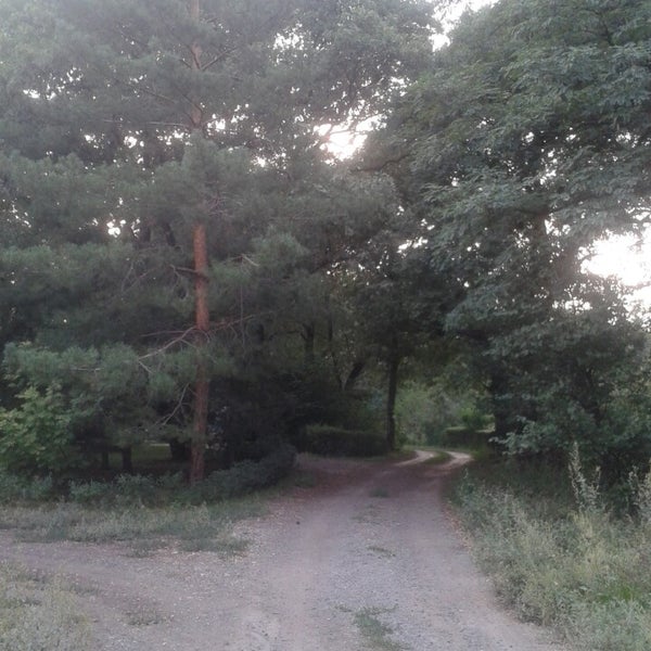 Купить Дачу Чайка Челябинск