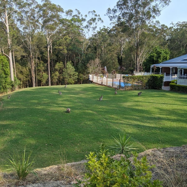 Mt Cotton Neighborhood