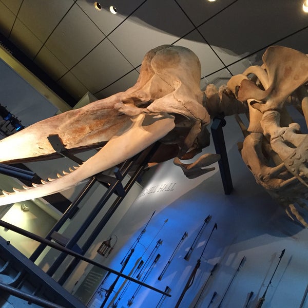 รูปภาพถ่ายที่ The Whaling Museum โดย Cindy G. เมื่อ 6/17/2016