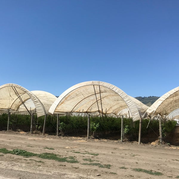 Watsonville Farm Fresh Produce Watsonville, CA