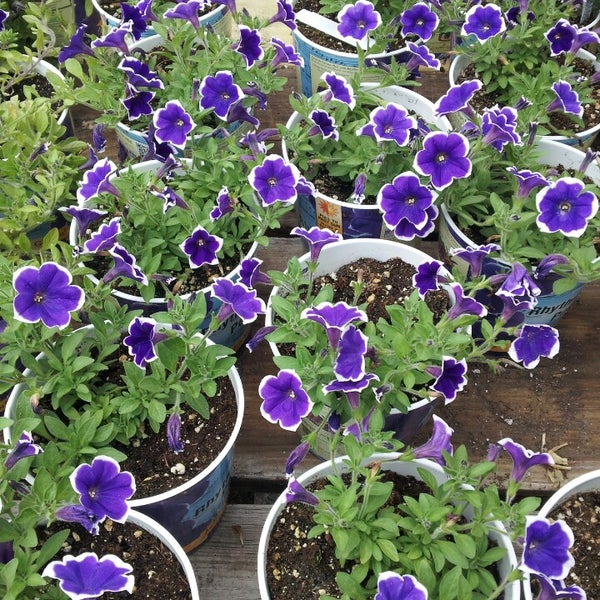 Photos at The Home Depot Hardware Store in Horn Lake