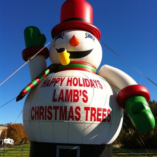 Lamb's Christmas Trees Vacaville, CA