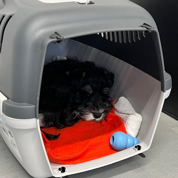 LRT Lietuvos nacionalinis radijas ir televizija Naujamiestis