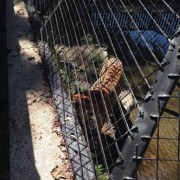 9/7/2014에 Guillo C.님이 Brandywine Zoo에서 찍은 사진