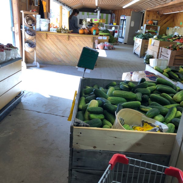 Harvey's Big Potato Maugerville, NB