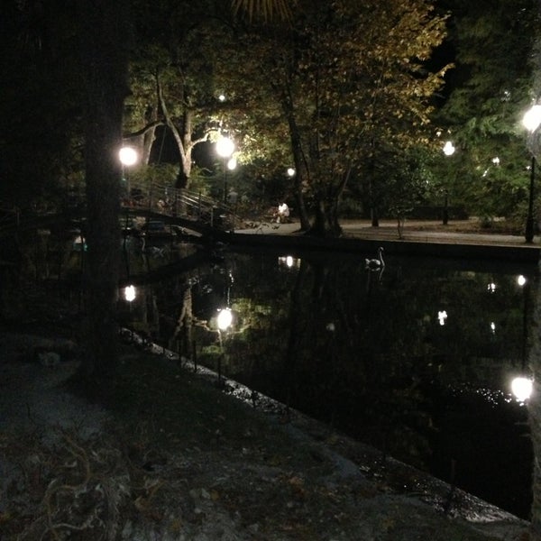 Кафе лебедь пенза на ударной