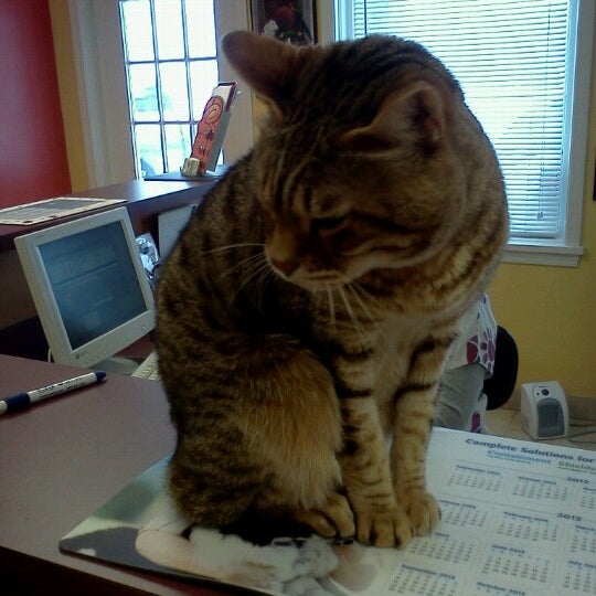Tlc Pet Hospital Veterinarian In Chagrin Falls