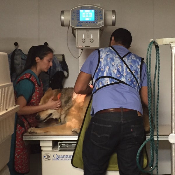 Key Animal Clinic, PC Lubbock, TX