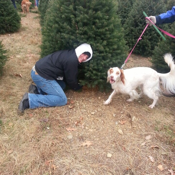 Foto tomada en Wyckoff&#39;s Christmas Tree Farm  por Billy H. el 12/8/2013