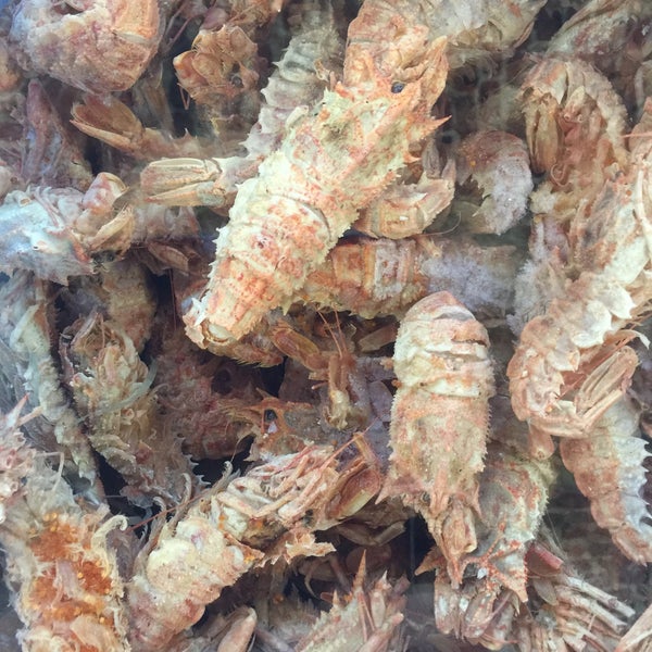 фестиваль дары тайги. дары приморья в спб. дары приморья. дары приморья томск. дары приморья.