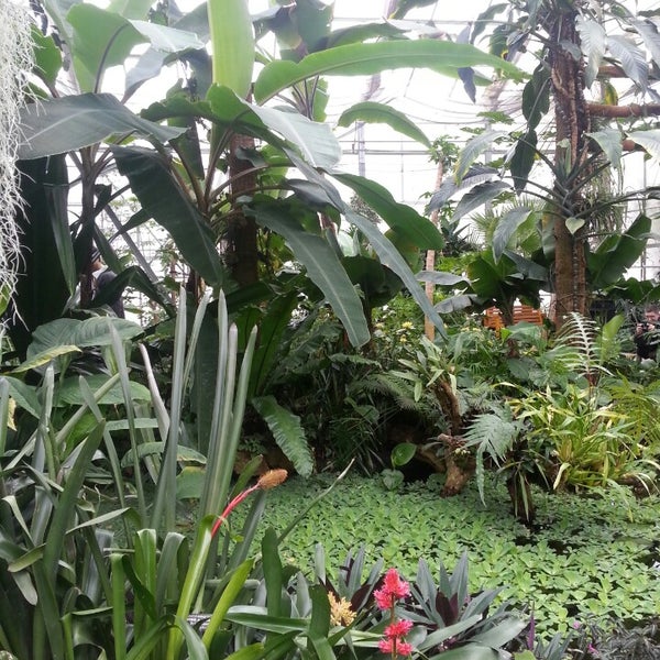 Photos At Botanischer Garten Chemnitz Leipziger Str 147