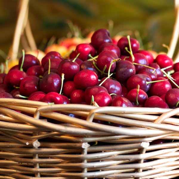 Cherry Hill Gourmet Sheepshead Bay Brooklyn, NY