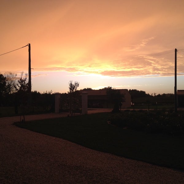 Photos A La Cerise Sur Le Gateau Le Bois De Lamet