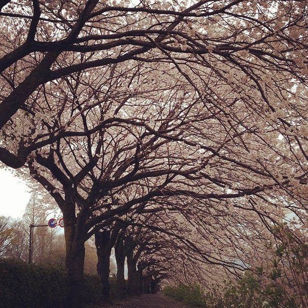 秦野市立中央運動公園 秦野市 神奈川県