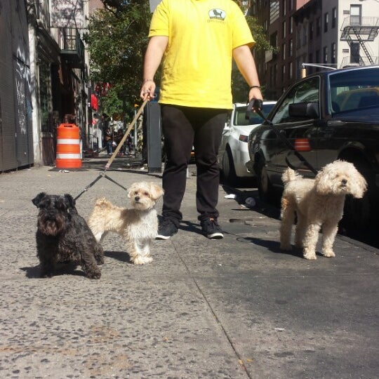 Foto scattata a New York Dog Nanny da New York D. il 10/5/2014