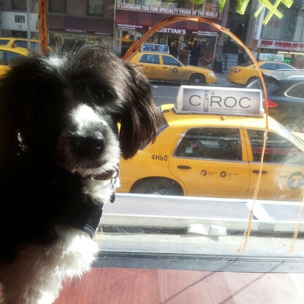 Foto scattata a New York Dog Nanny da New York D. il 2/9/2014
