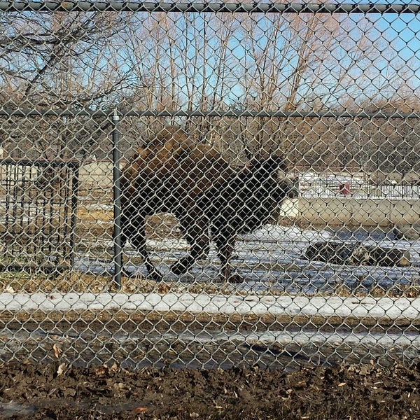 Photo taken at Roosevelt Park Zoo by Jeff D. on 3/12/2014