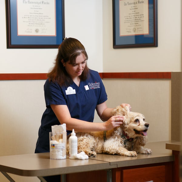 Veterinary Healthcare Associates Veterinarian in Winter Haven