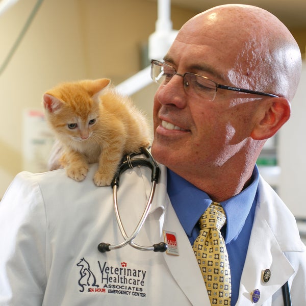 Veterinary Healthcare Associates Veterinarian in Winter Haven