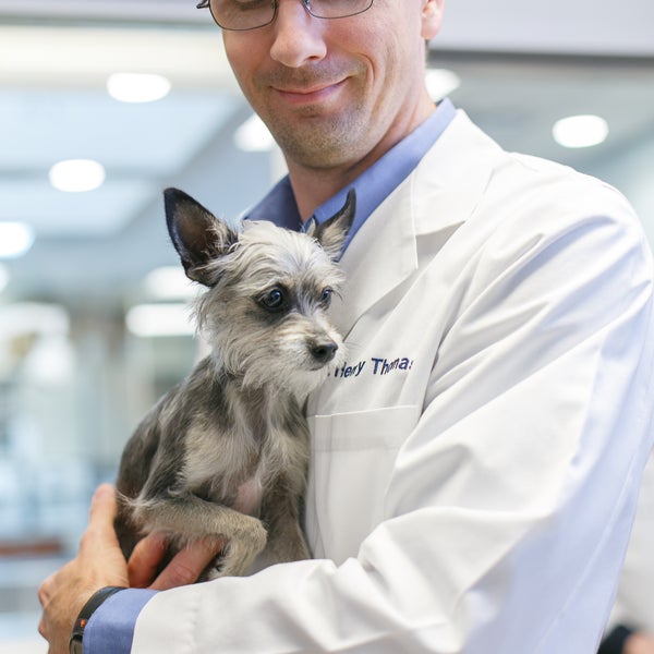 Veterinary Healthcare Associates Veterinarian in Winter Haven