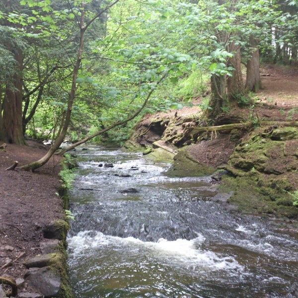 Rouken Glen Park Park in Giffnock