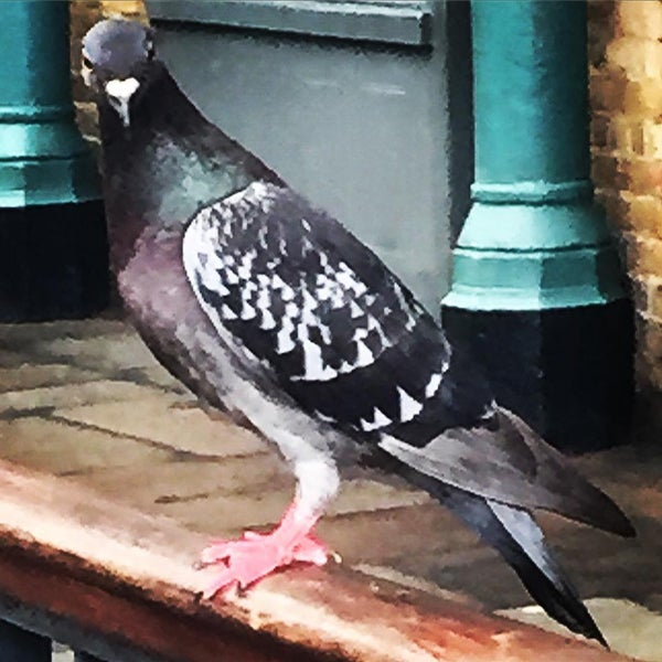 7/13/2015 tarihinde Charles P.ziyaretçi tarafından 21 Covent Garden'de çekilen fotoğraf
